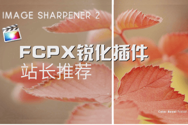 fcpx锐化插件-Image Sharpener 2汉化版支持M1视频锐化插件工具画面清晰度细节增强插件