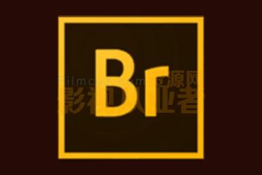 Adobe Bridge 2020 for Mac(Br2020mac版) v10.0.3.138中文激活版
