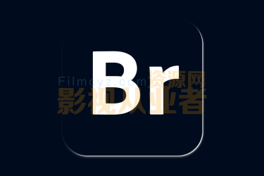 Adobe Bridge 2021 11.0 ARC13.1 中文注册破解版 (Mac版Br多媒体文件管理软件)